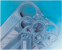 1498033260123217.jpg b.jpg